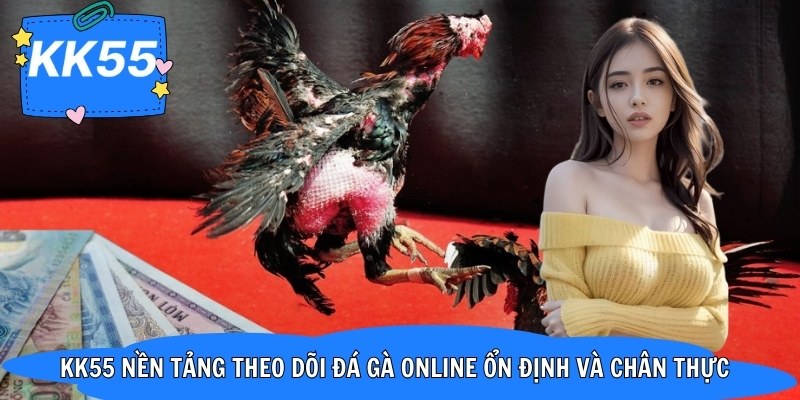 KK55 nền tảng theo dõi đá gà online ổn định và chân thực